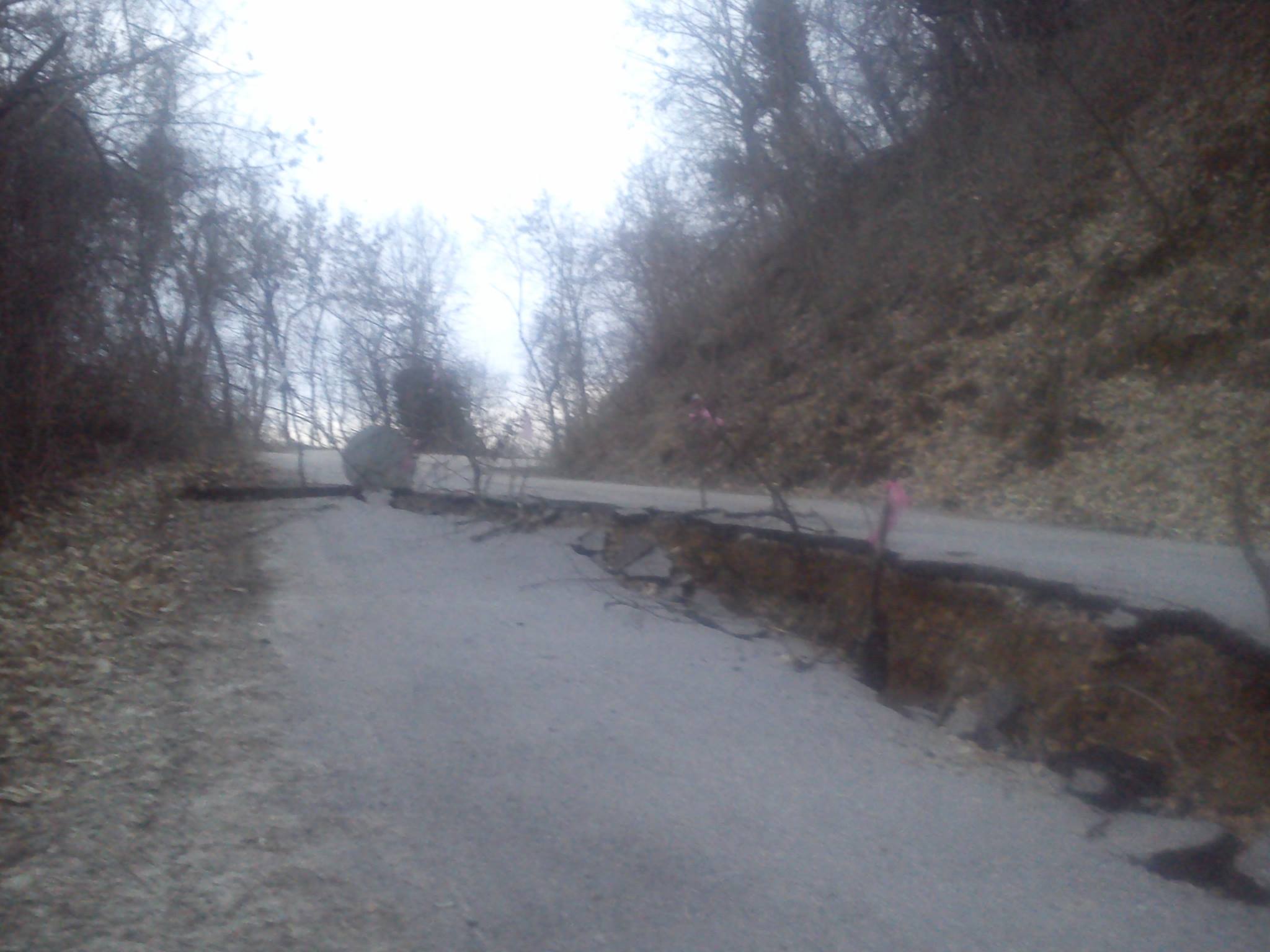 10626436 1551360228448051 3136686310444378153 o