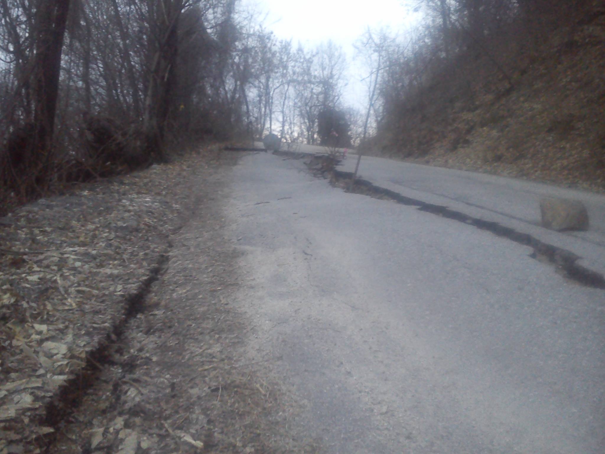 10911294 1551360525114688 1073472350800377661 o