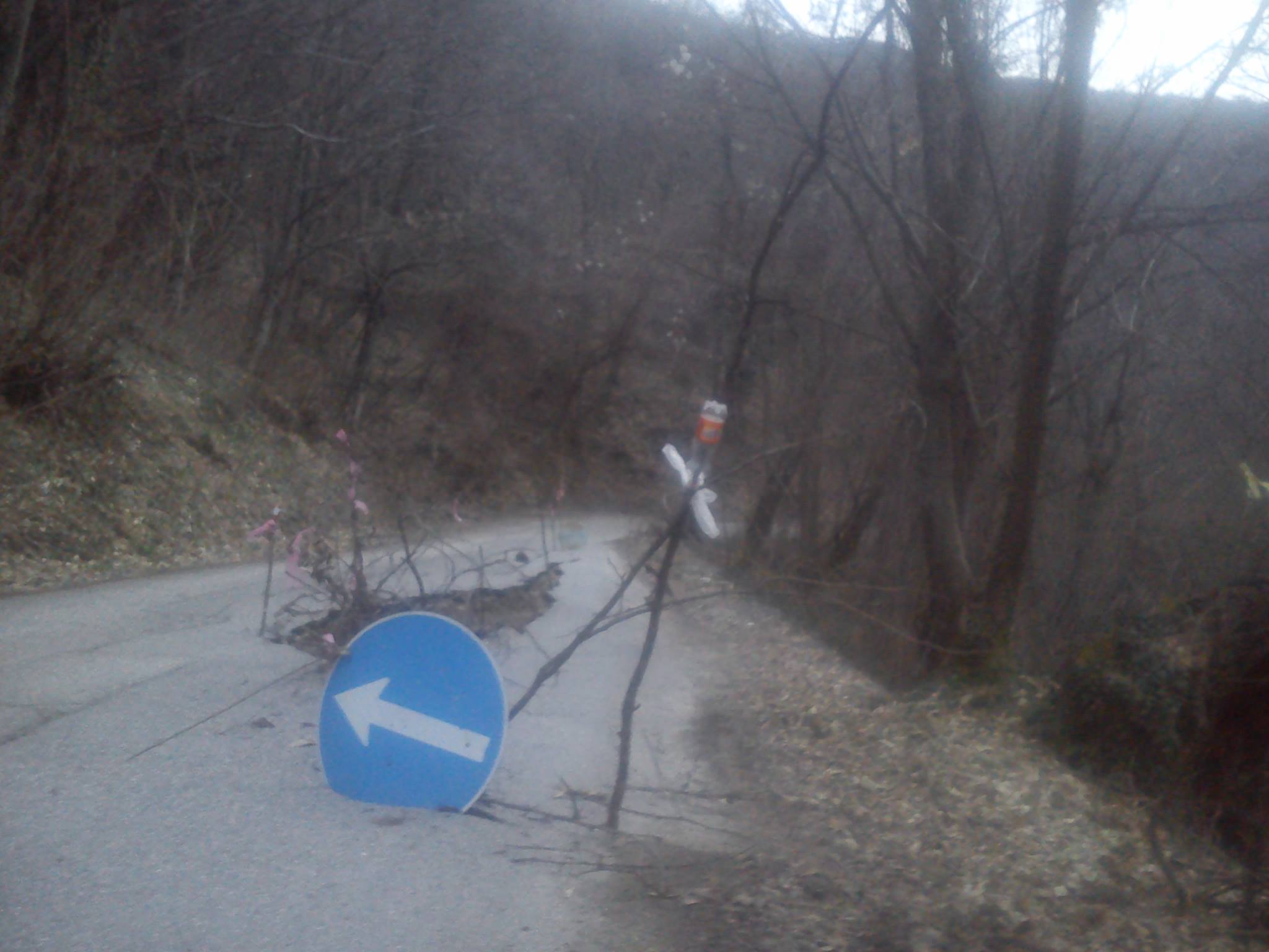 1271058 1551361731781234 213497850109714409 o