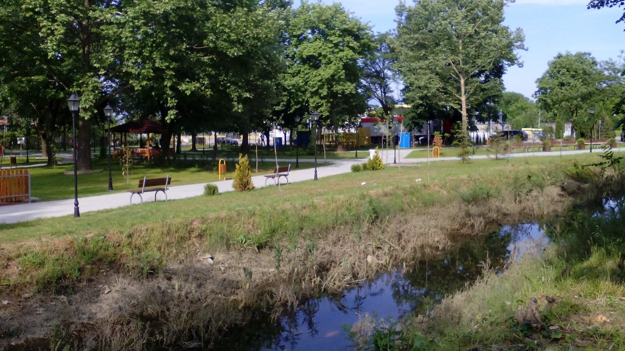 image-2b9a2980f1f4a0d6afc3c39a49f90953734036884fd9d9dfed4afcbbc2c5fd39-v