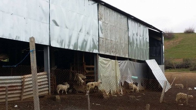 11137033 1104921866200777 2003901007 n