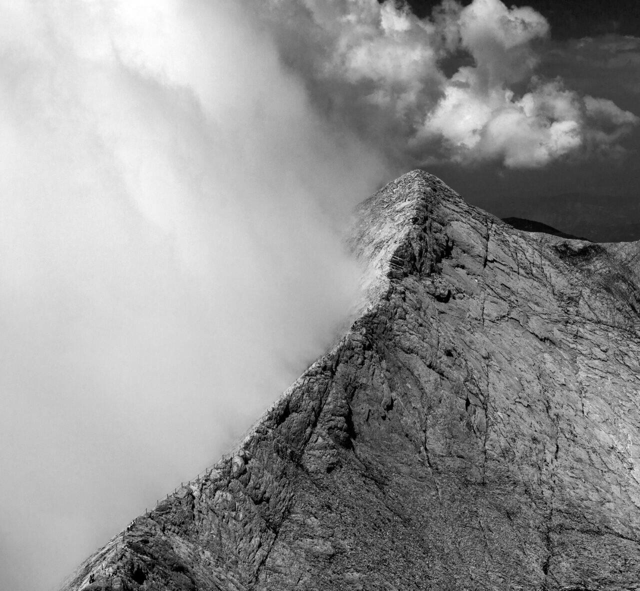 14467049 10208615655207372 1835163532 o