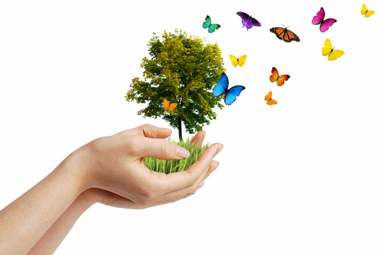 earth-day-2011-what-act-green 313111