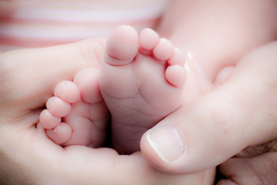 bebe-kracheta fit-gallery slider